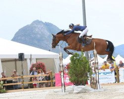 Springpferd Fabio van't Roosakker (Belgisches Warmblut, 2005, von For Pleasure)