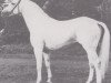 stallion Rinaldo (Hanoverian, 1969, from Radetzky)