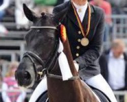 dressage horse Horatio 18 (Hanoverian, 2005, from Hochadel)