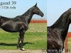 broodmare Akgozel 39 (Akhal-Teke, 1989, from Kerzi)