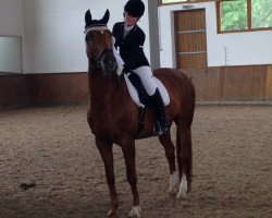 dressage horse Grace 251 (Westphalian, 1998, from Gracioso)