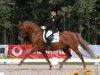 dressage horse Wimbledon (German Riding Pony, 1994, from Waldemar)