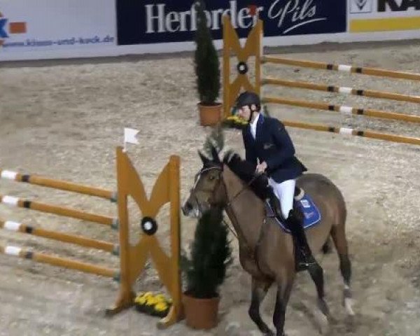 Video of Lupine 39