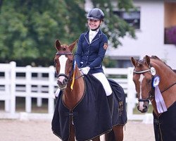 dressage horse Don Pietro C (German Riding Pony, 2005, from FS Don't Worry)