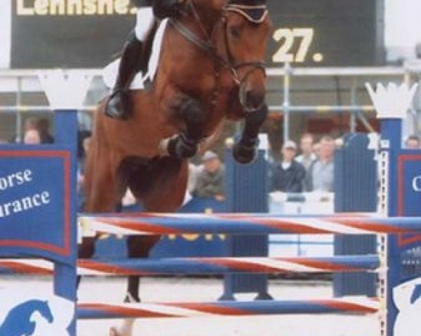 stallion Lorgos GL (Rhinelander, 2001, from Lehnsherr GL)