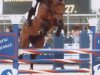 stallion Lorgos GL (Rhinelander, 2001, from Lehnsherr GL)