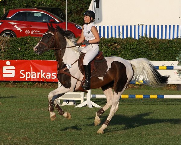stallion Ilan (Westphalian, 2000, from Ilasso)