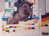 jumper Vamorka (KWPN (Royal Dutch Sporthorse), 2002, from Goodtimes)