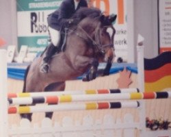 jumper Vamorka (KWPN (Royal Dutch Sporthorse), 2002, from Goodtimes)