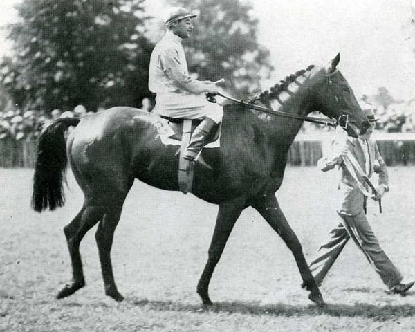 broodmare Pearl Cap xx (Thoroughbred, 1928, from Le Capucin xx)