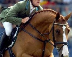 broodmare Anka 191 (Oldenburg, 1991, from Argentinus)