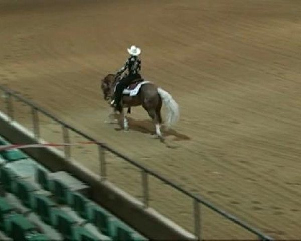 EWU German Open
Montag, den 19.09.2011
Junior Reining