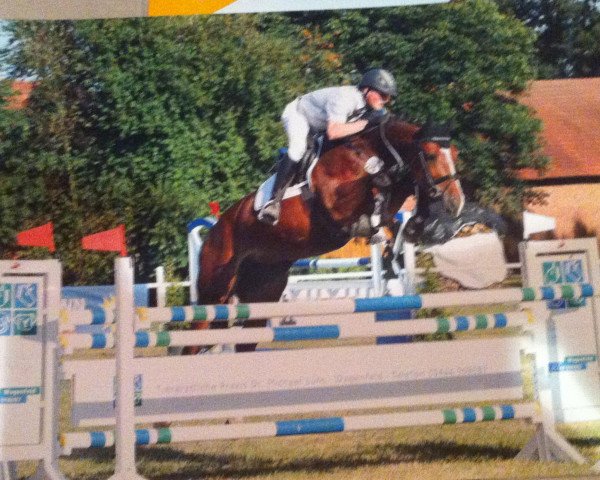 jumper Tacita von der Held (Luxembourg horse, 2008, from Beaulieu's Think Big)