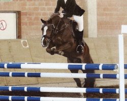 dressage horse Hestrex (German Riding Pony, 2006, from Hightrick)