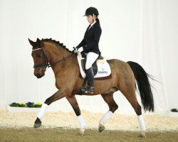 dressage horse Duplo B (German Riding Pony, 2004, from Destino R)