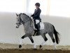 jumper Mylow 4 (German Riding Pony, 2010, from Mikado 352)