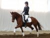 jumper Cool Man (German Riding Pony, 2008, from FS Chambertin)