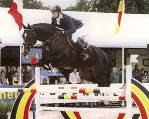 stallion For Fashion (KWPN (Royal Dutch Sporthorse), 2005, from For Pleasure)