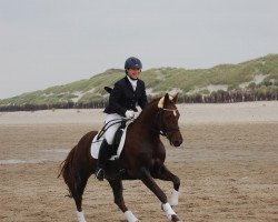 dressage horse Hesselteichs Great Guy (German Riding Pony, 2009, from Gandalf)