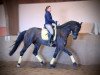 dressage horse Lea von Andor (Hanoverian, 2005, from Landjonker (Fruhling))