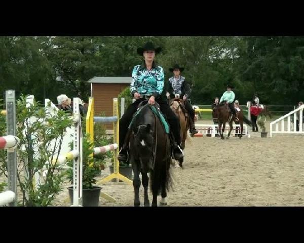 EWU-Rheinlandmeisterschaft 2011
Freitag, den 12.08.2011
Western Horsemanship LK 3a
