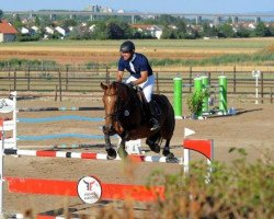 broodmare Lou Beega (Hanoverian, 2003, from Le Cou Cou)