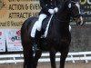 dressage horse Te Quiero 13 (KWPN (Royal Dutch Sporthorse), 2000, from Lux Z)