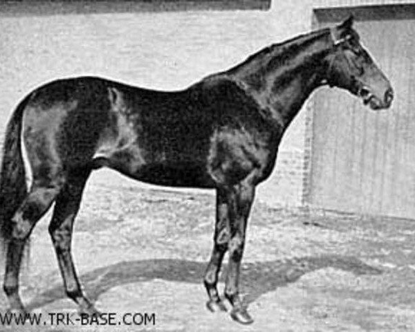 stallion Alabaster xx (Thoroughbred, 1940, from Ferro xx)