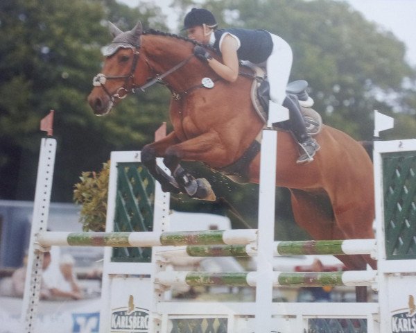 jumper Canando (German Sport Horse, 2005, from Collini)