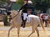 dressage horse Kinshasa (Oldenburg, 1996, from Granulit)