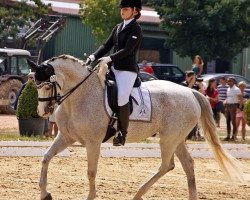 dressage horse Kinshasa (Oldenburg, 1996, from Granulit)