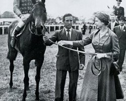 broodmare Carrozza xx (Thoroughbred, 1954, from Dante xx)