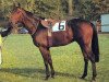 stallion Ebano xx (Thoroughbred, 1973, from Tanerko xx)