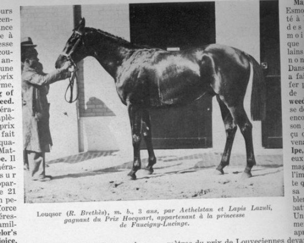 stallion Louqsor xx (Thoroughbred, 1932, from Aethelstan xx)
