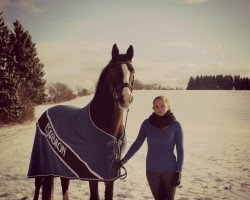 dressage horse Cash a Smile (KWPN (Royal Dutch Sporthorse), 2000, from Goodtimes)