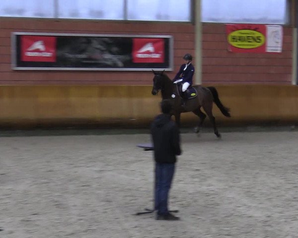 Schloss Wickrath Jumping 2022
