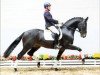 dressage horse Friesen Ball (Oldenburg, 2010, from Fürstenball)