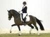 jumper Can Step JSO (German Riding Pony, 2010, from FS Champion de Luxe)