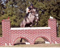 broodmare White Winnipeg (Holsteiner, 2006, from Lacapo)