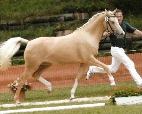 broodmare Giselle (German Riding Pony, 2003, from FS Golden Highlight)