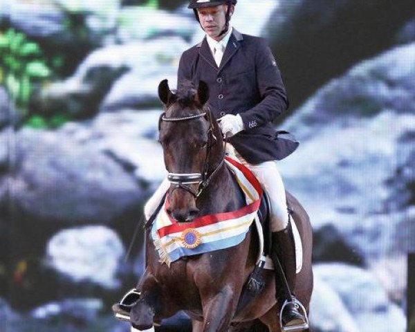 stallion Dujardin (Mecklenburg, 2010, from D'Olympic)