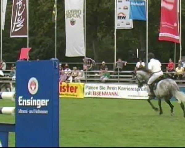 Bietigheim-Bissingen
Freitag,den 02.09.2011
08 c Springprüfung Kl.M**
