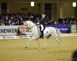 dressage horse CP Perolus (KWPN (Royal Dutch Sporthorse), 1997)