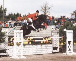 stallion Heinrich der Loewe (Trakehner, 1988, from Enrico Caruso)