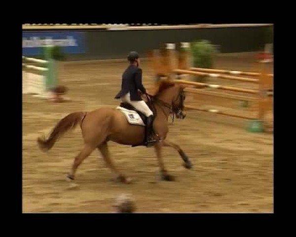 Kleine Trophy des Wartseiner Reitverein e.V.
Samstag,den 12.November 2011
07 Springprüfung Kl.M**
2.Abt: Teiln.Spr.Pkte.4000 und mehr platz.in

