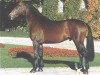 stallion Ehrentanz II (Westphalian, 1991, from Ehrentusch)