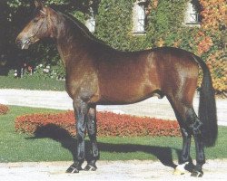 stallion Ehrentanz II (Westphalian, 1991, from Ehrentusch)