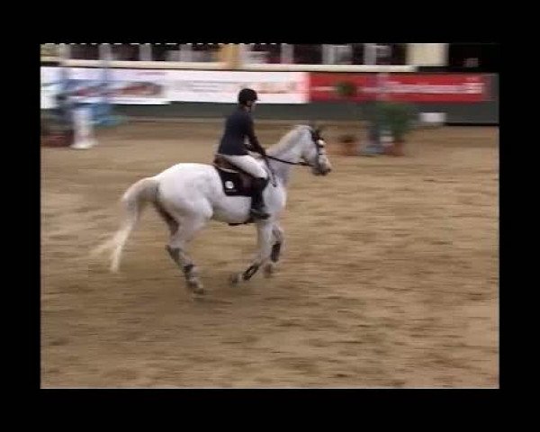 Kleine Trophy des Wartseiner Reitverein e.V.
Samstag,den 12.November 2011
06 Zeitspringprfg.Kl.M*
1.Abt: Teilnehmer LK 3,4 platz.in 2 Abt.
