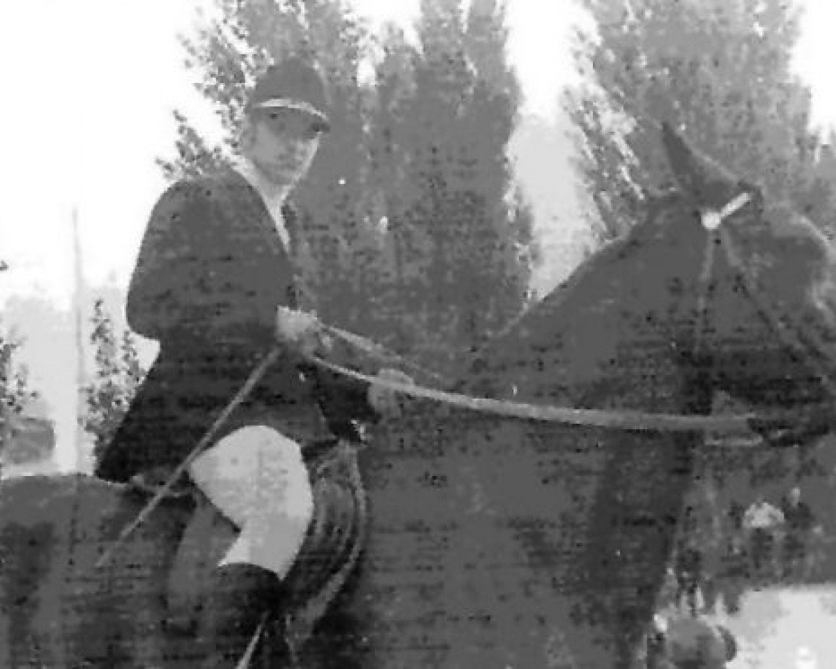 stallion Jokers (Latvian Warmblood, 1968, from Juritis)