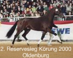 stallion D-Dur (Oldenburg, 1998, from Donnerhall)